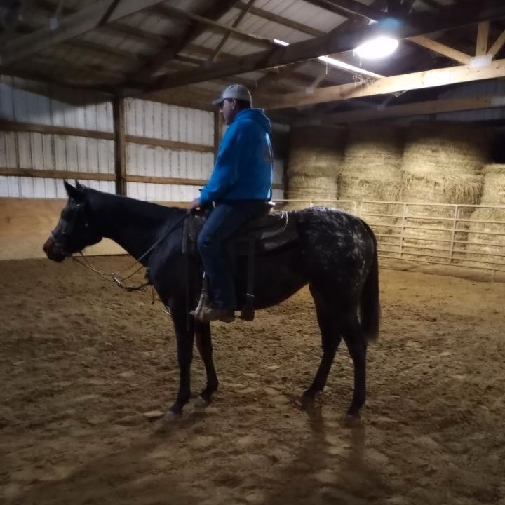 Mystic Rita, filly #687304. Foaled 4-11-2019