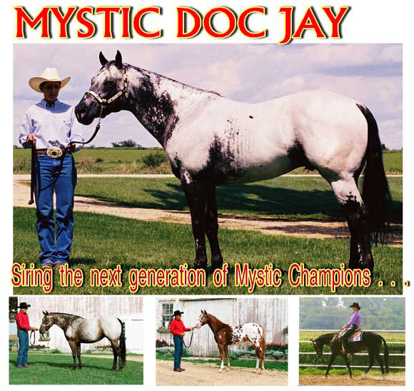 mystic doc-jay-1